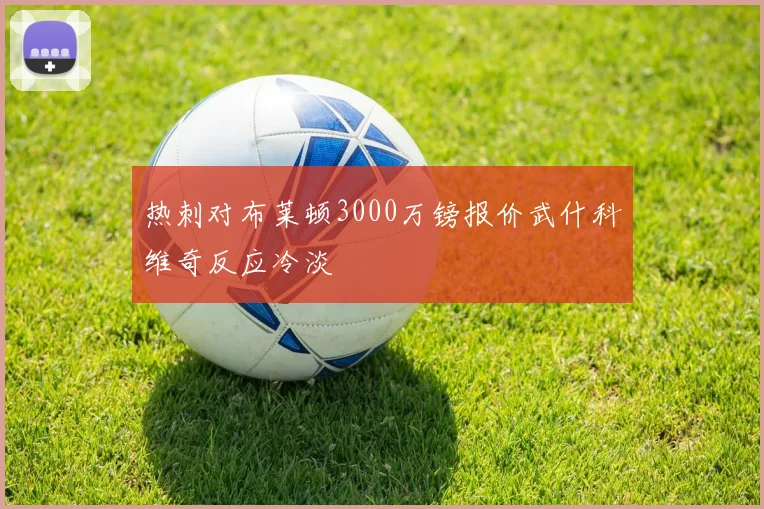 热刺对布莱顿3000万镑报价武什科维奇反应冷淡