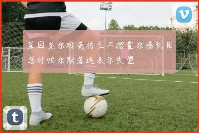 莱因克尔对英格兰不招霍尔感到困惑对帕尔默落选表示失望