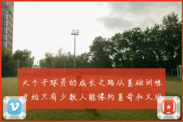 大个子球员的成长之路从基础训练开始只有少数人能像约基奇和文班那样成功